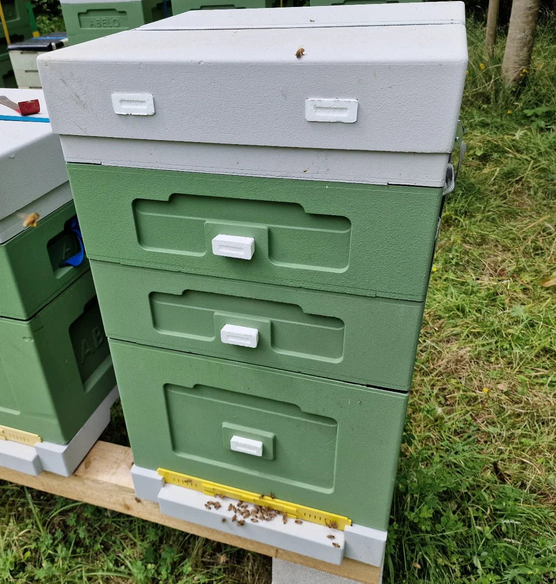 Beehives