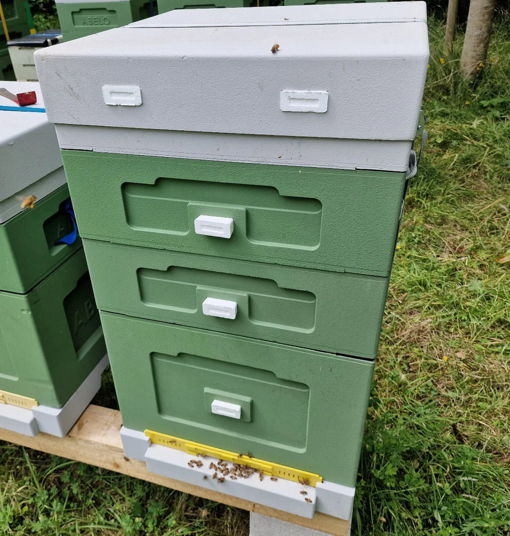 Beehive with full colony of Bees